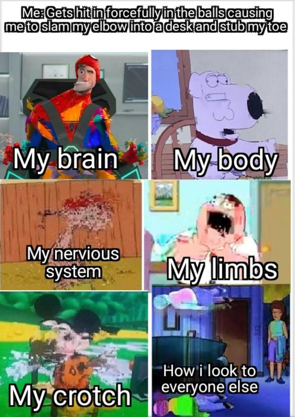 Body Exe Has Stopped Working R Dankmemes Know Your Meme