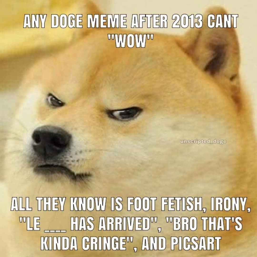 Any Doge Meme After 2013 Eat Hot Chip and Lie Know Your Meme