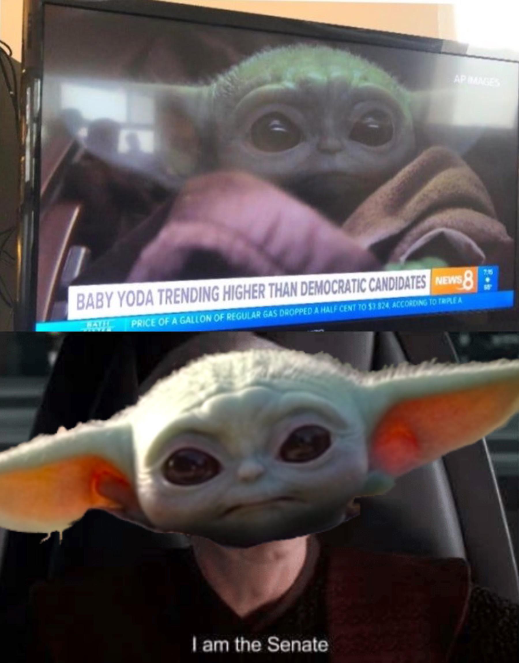 I Love Democracy R Babyyoda Baby Yoda Grogu Know Your Meme