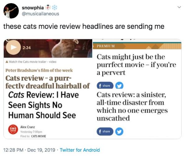 Sending Me Cats (2019 Film) Know Your Meme