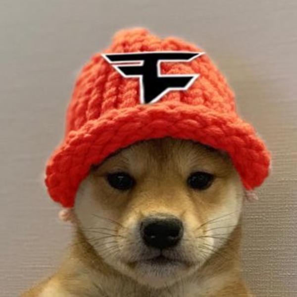 Faze Clan Dogwifhat | Dogwifhat | Know Your Meme