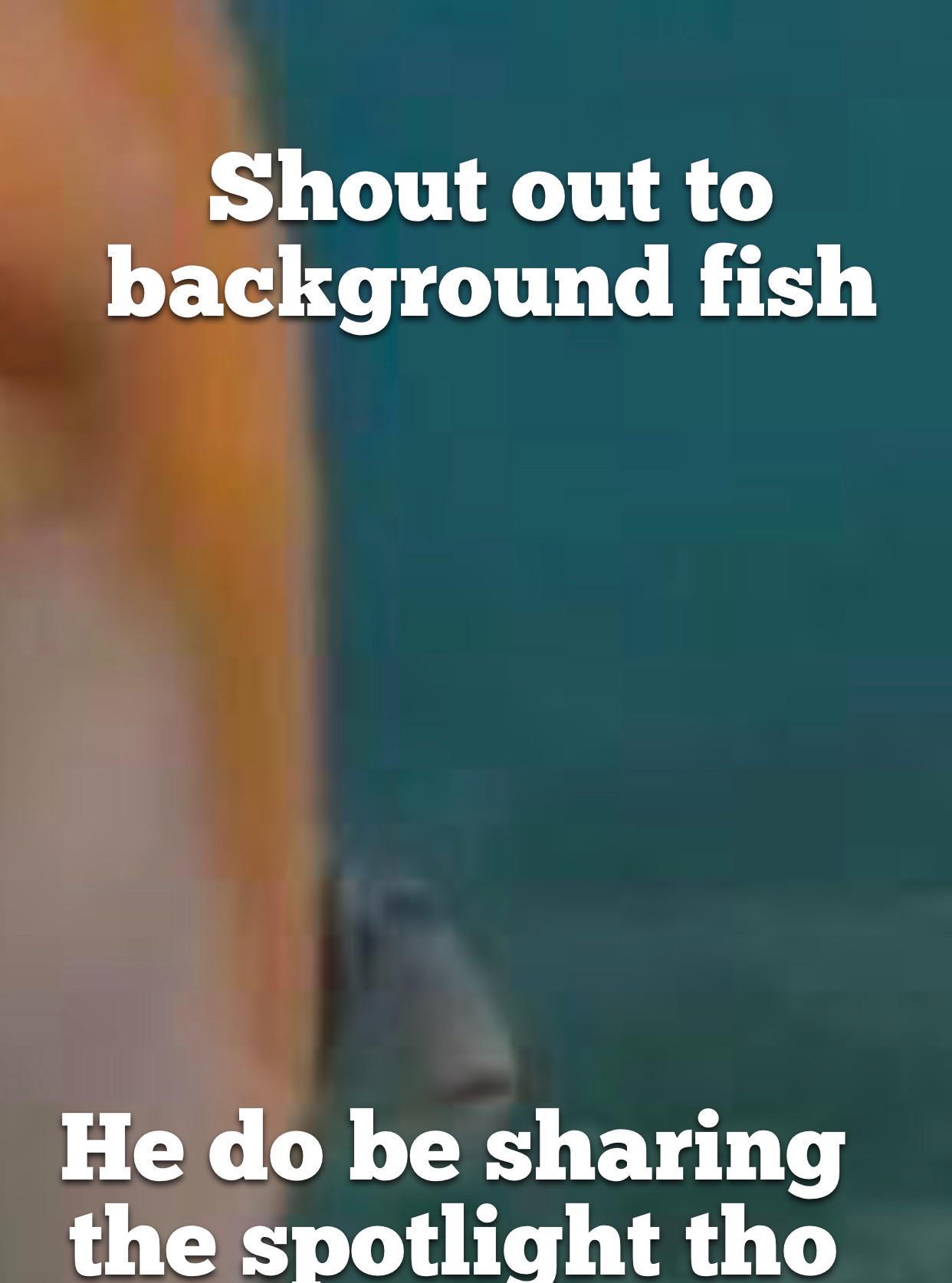 Up and cumer to the council??? Staring Fish / Do You Fart Know Your