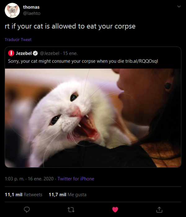 RT if your cat is allowed to eat your corpse Cats Know Your Meme