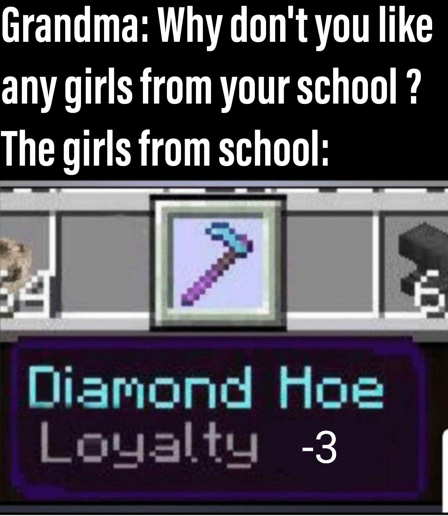NEVER spend your diamonds on a hoe. /r/MinecraftMemes Minecraft