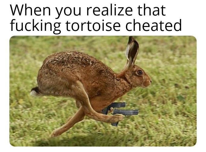 Hoppity Hoppity You Re Now My Property
