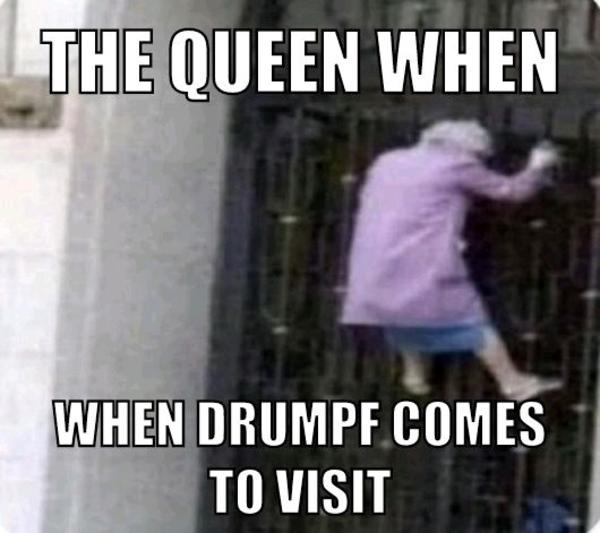 Trump The Queen Has Breached Containment Know Your Meme