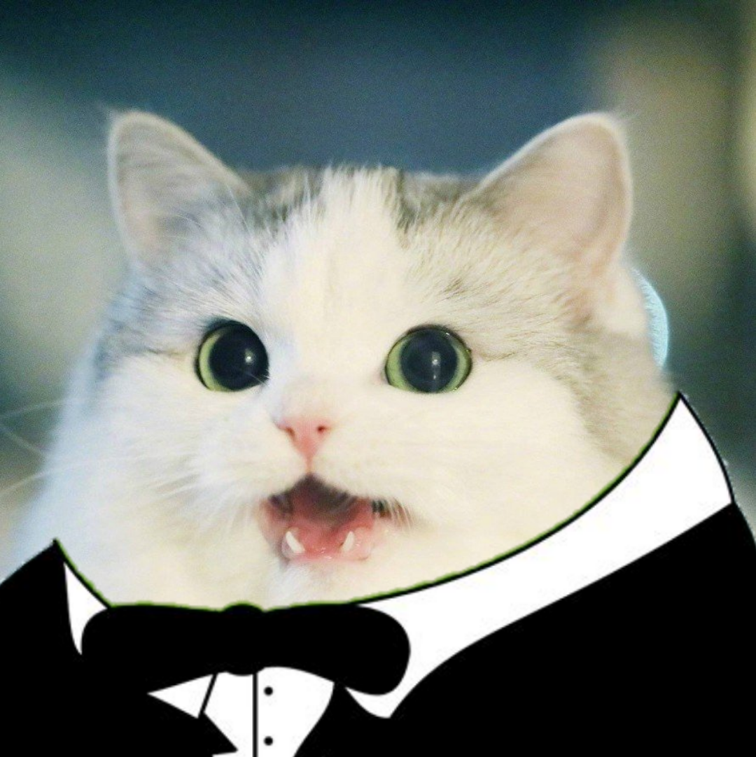 Tuxedo NWord Cat NWord Cat Know Your Meme