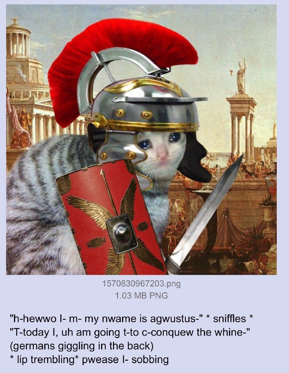 hhewwo I m my nwame is agwustus Crying Cat Know Your Meme