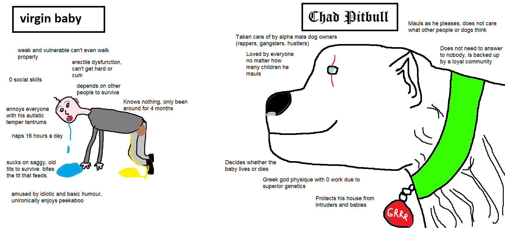 virgin baby vs. chad pitbull Virgin vs. Chad Know Your Meme