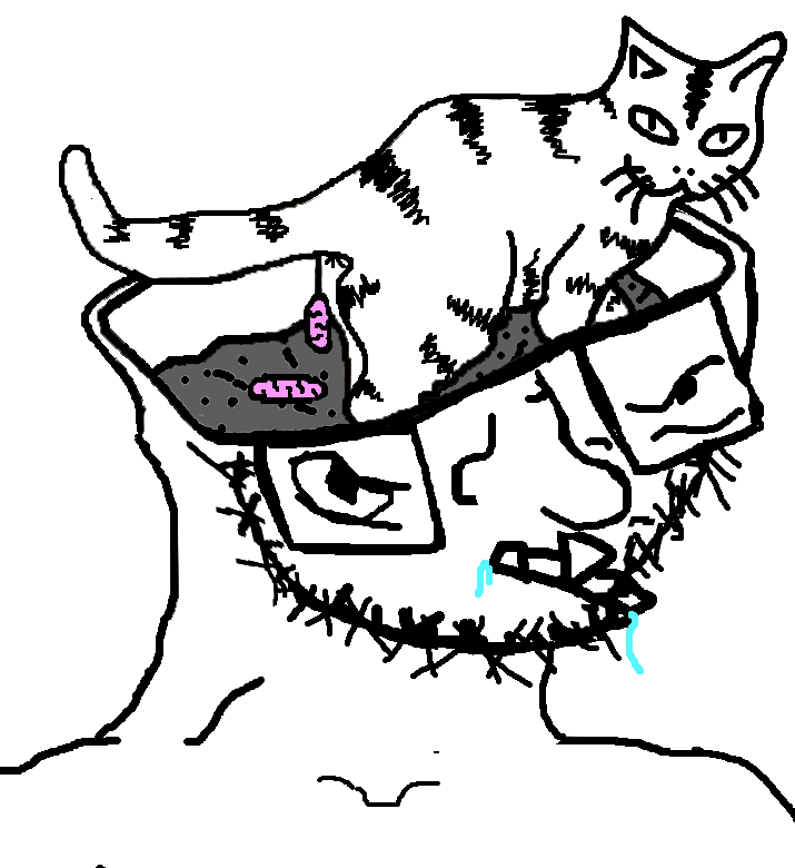 Litter Brain Brainlet Know Your Meme