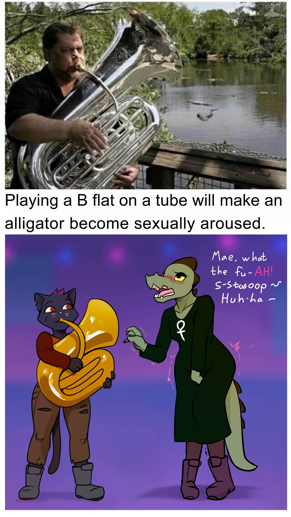 Alligator Tuba Night in the Woods Know Your Meme