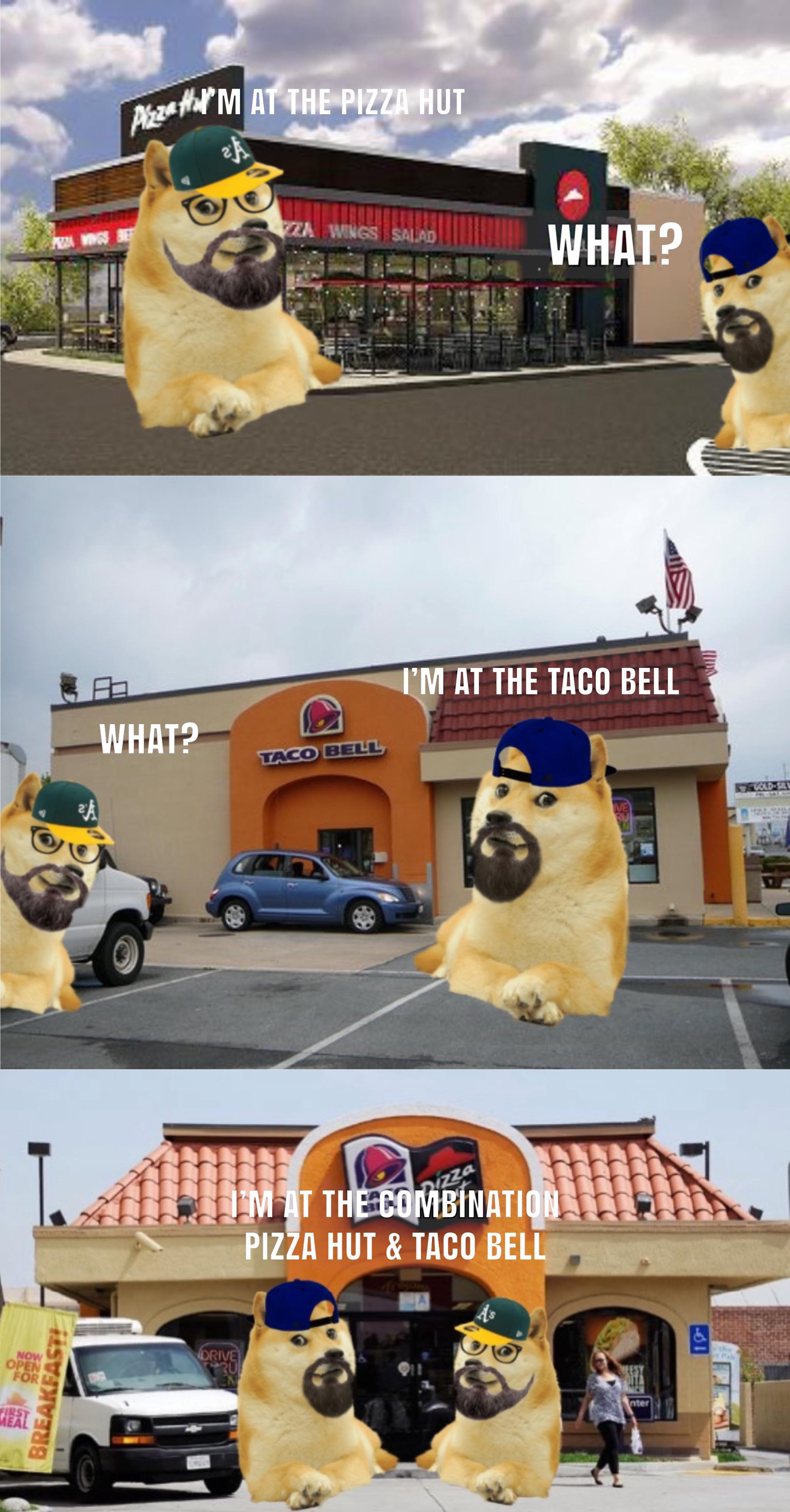 Le Two Doges Have Arrived At The Combination Pizza Hut Taco Bell