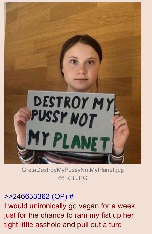 Anon Discusses Greta r 4chan 4chan Know Your Meme