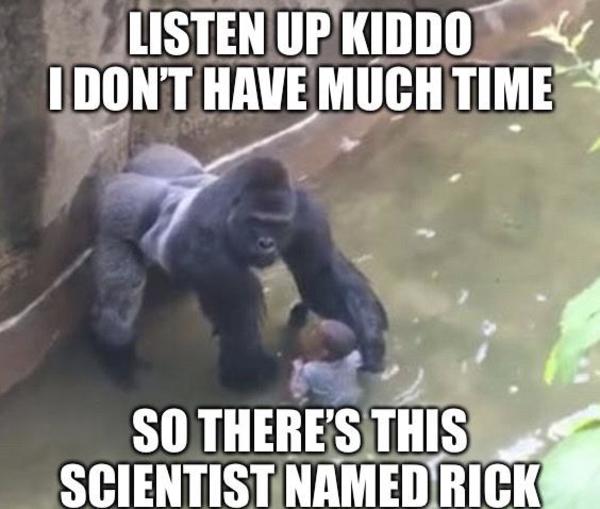 hurry up you are going to die | Pickle Rick, Funniest Shit Ever | Know