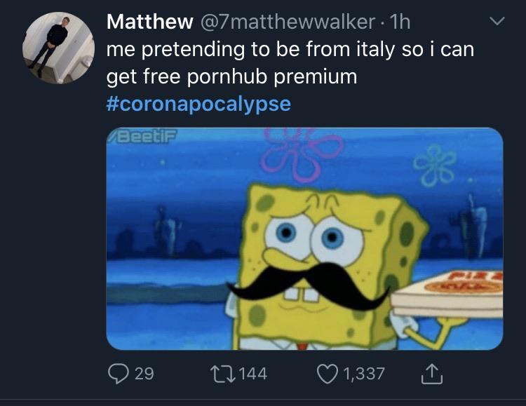 Ciao r BikiniBottomTwitter SpongeBob SquarePants Know Your Meme