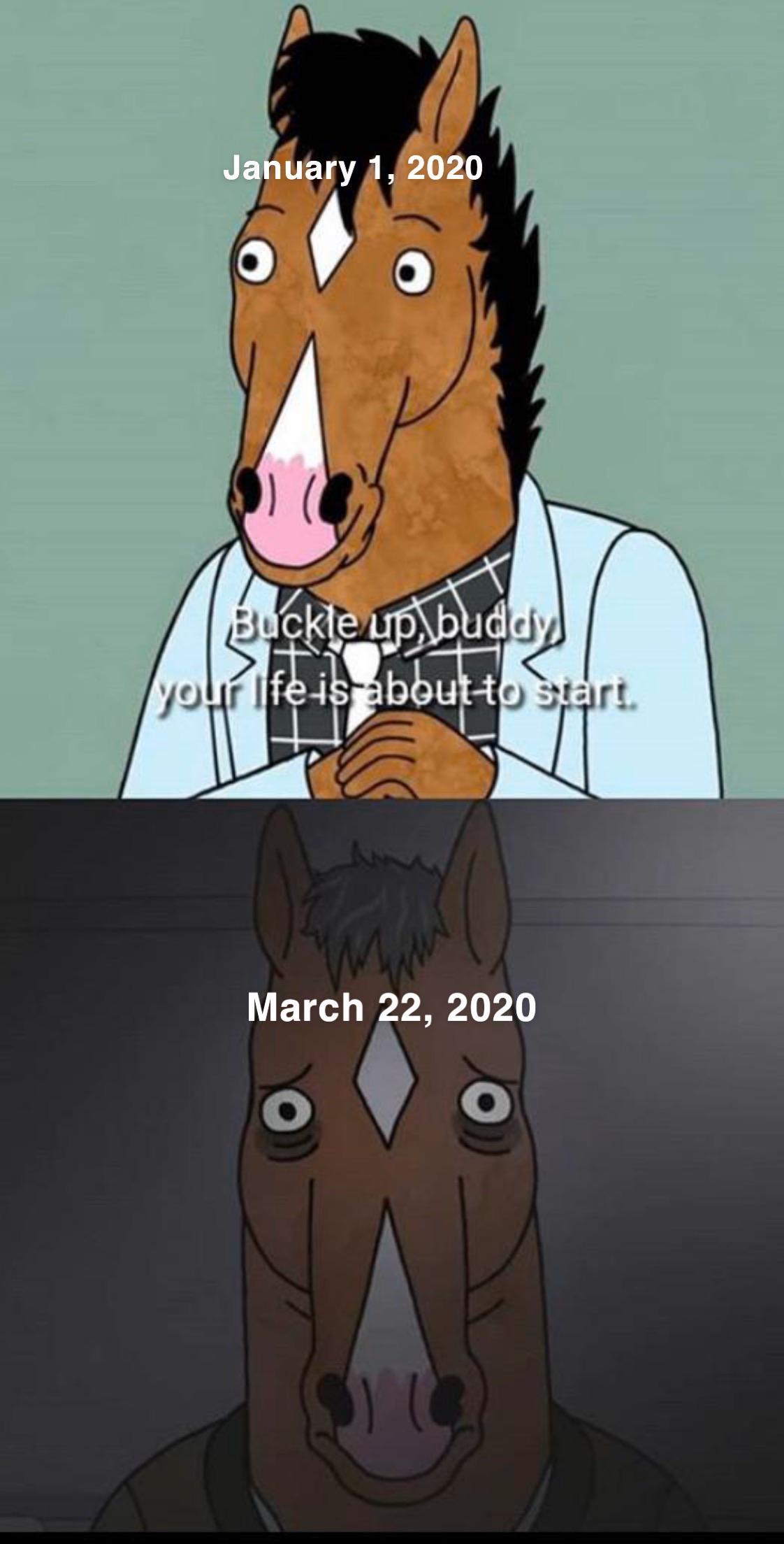 Do you get it? Do you get my joke? Because it’s been a bad year. Do you