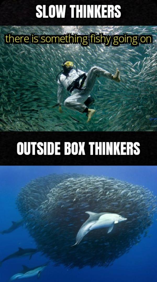 The notorious jumping frog of calaveras county quizlet image