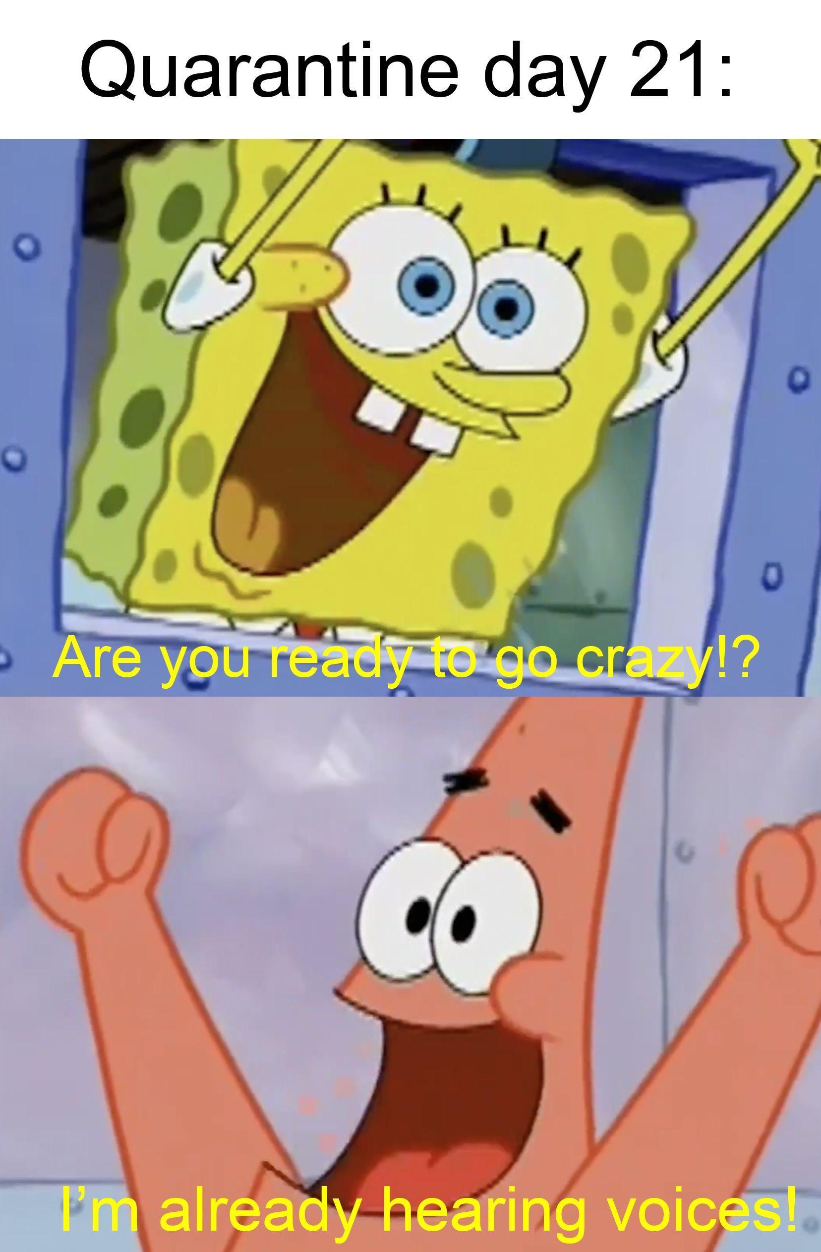 Are You Feeling It Now Mr Krabs Gif - qyso9ne