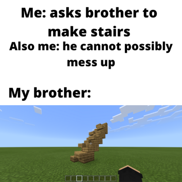 My brother... | /r/MinecraftMemes | Minecraft | Know Your Meme