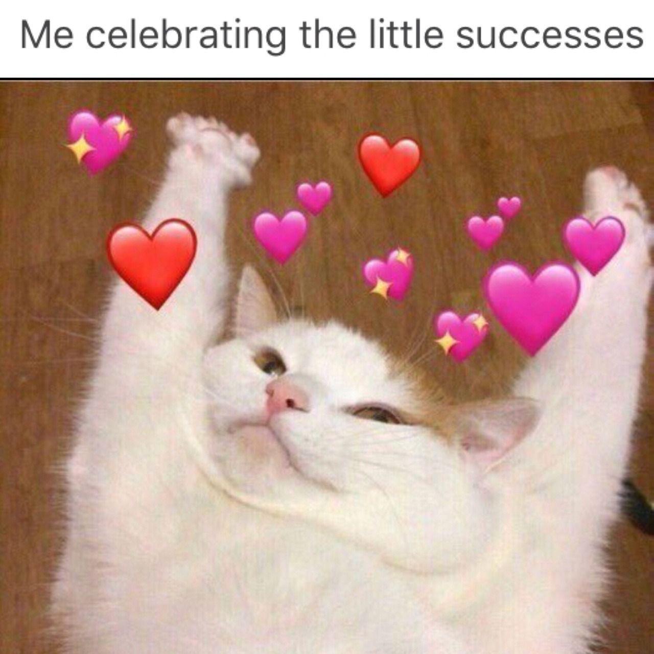Just Gotta Keep Swimming R Wholesomememes Wholesome Memes Know Your Meme