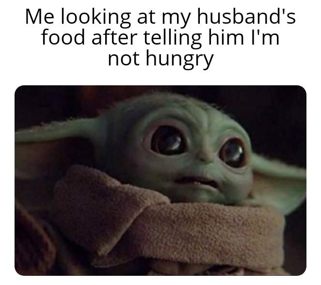 Looking for a husband meme
