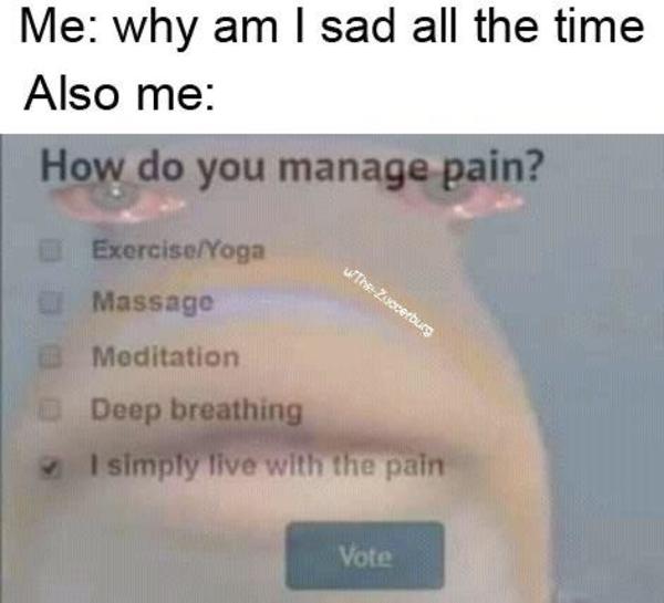 2 sad 4 bad /r/2meirl4meirl Pain / How Do You Manage Pain? Know