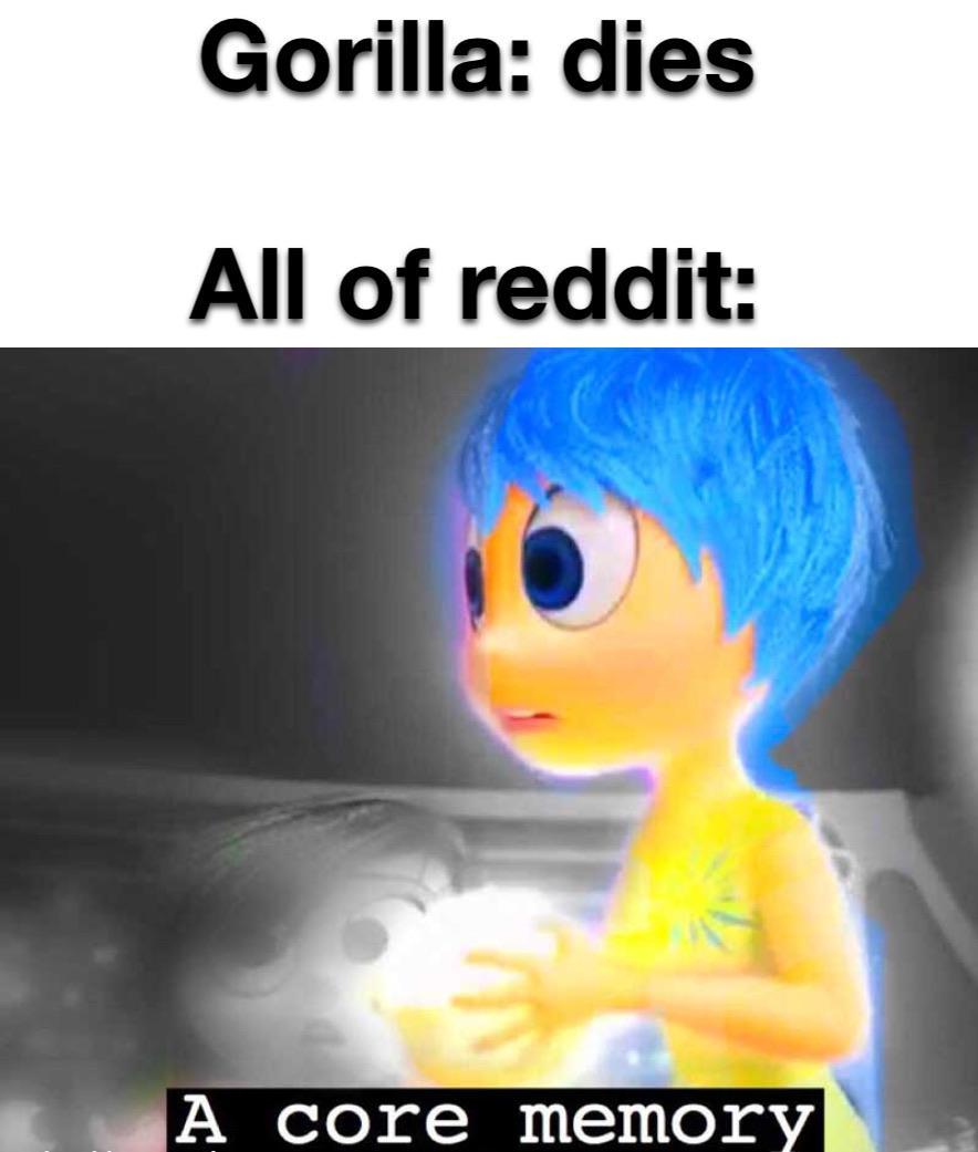 Daily dank #50 | /r/dankmemes | A Core Memory | Know Your Meme