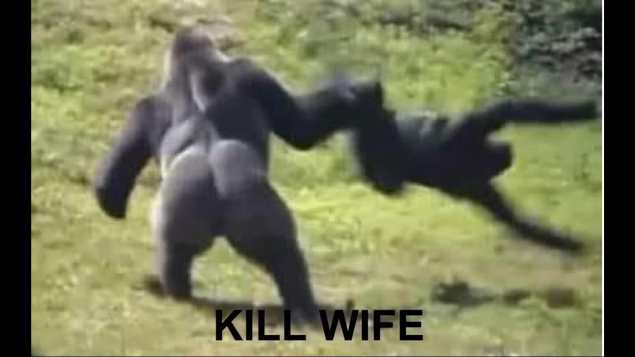 Kill wife... Animals Know Your Meme