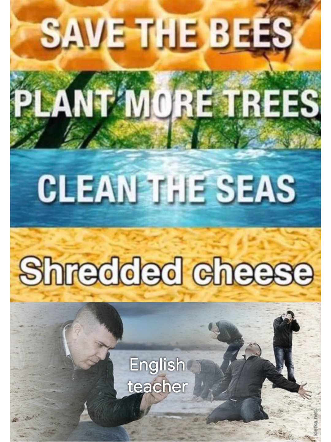 English Teachers Swoon Shredded Cheese From The Bag Know Your Meme