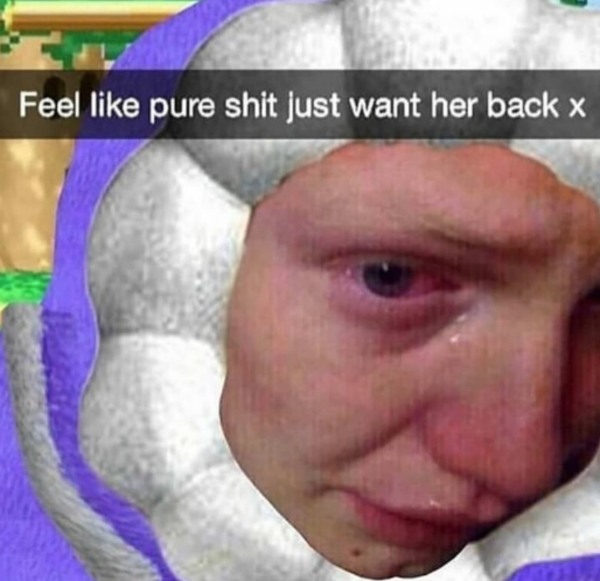 Thaddeu Feel Like Pure Shit Just Want Her Back x Know Your Meme