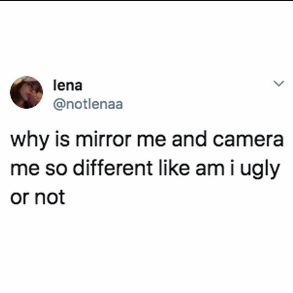 mirror me vs. camera me Know Your Meme