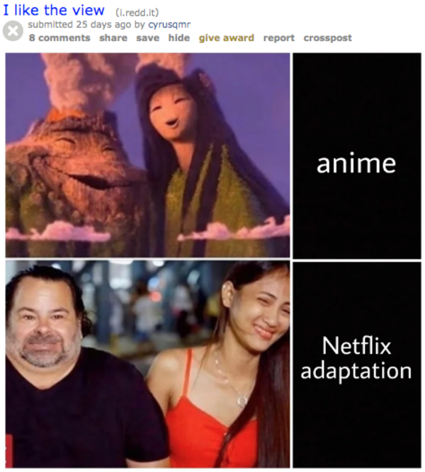 netflix adaptaion I Like The View Know Your Meme
