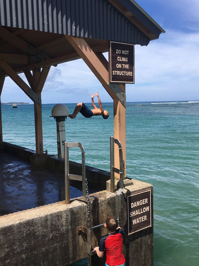 diving Know Your Meme