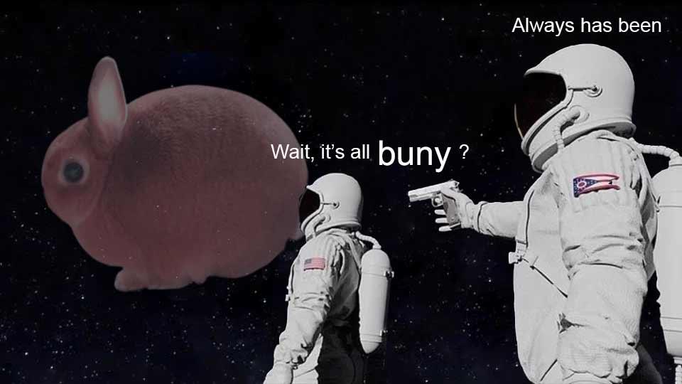 Buny is best Bunny Wait, It's All Ohio? Always Has Been Know Your Meme