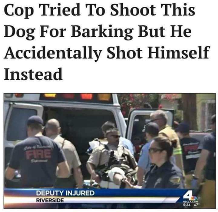 cop tries to shoot dog Know Your Meme