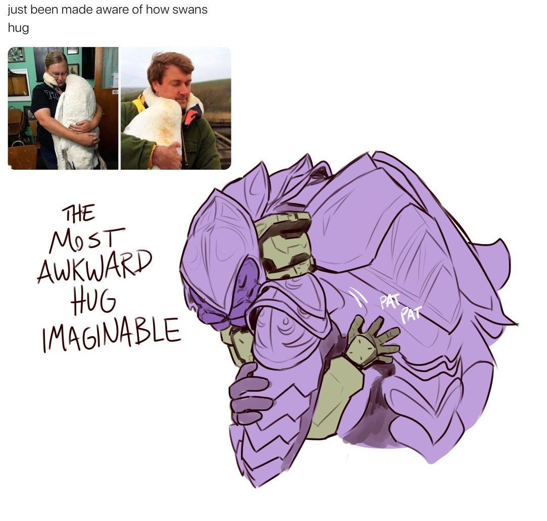 I Ve Been Thinking About 1 Swans And 2 A Pair Of Idiots Halo Know Your Meme