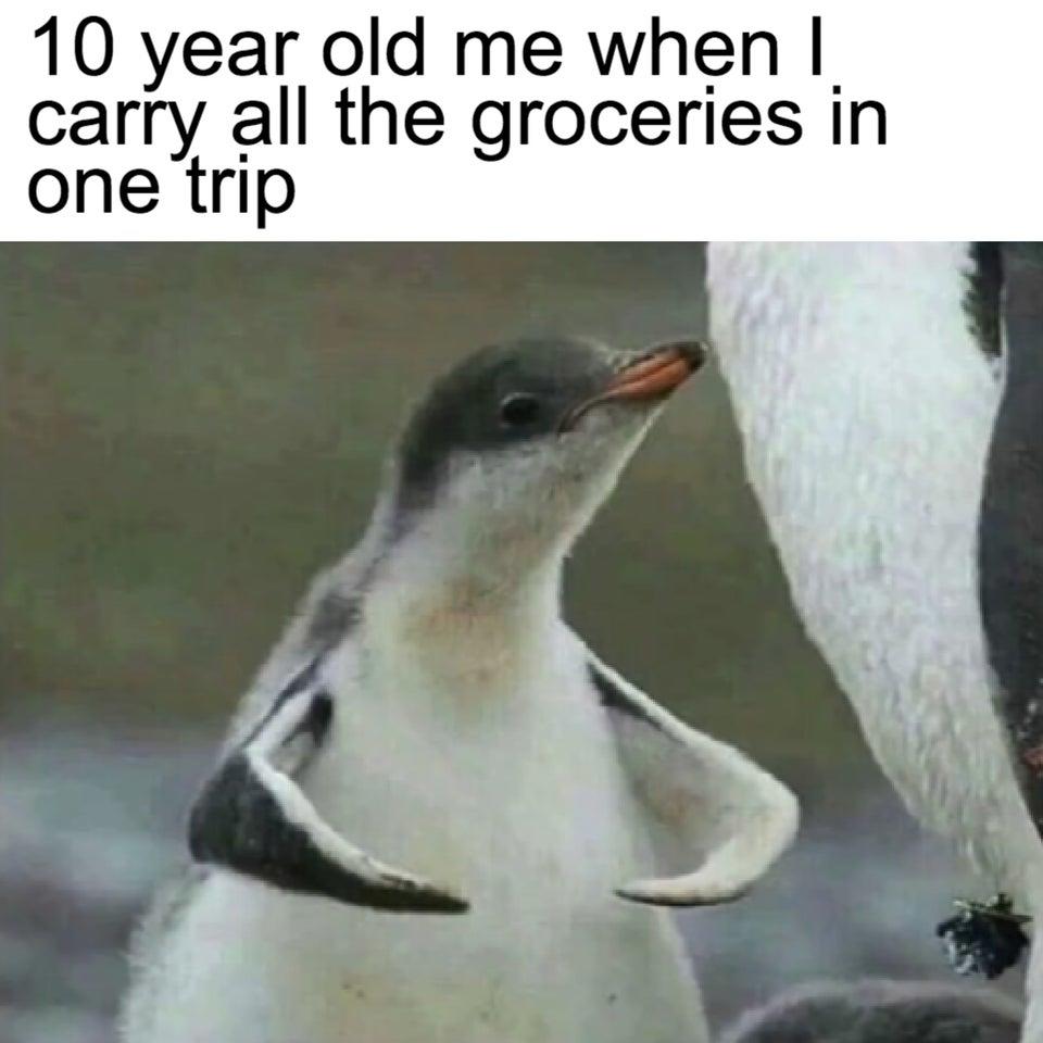 carrying-groceries-wholesome-memes-know-your-meme