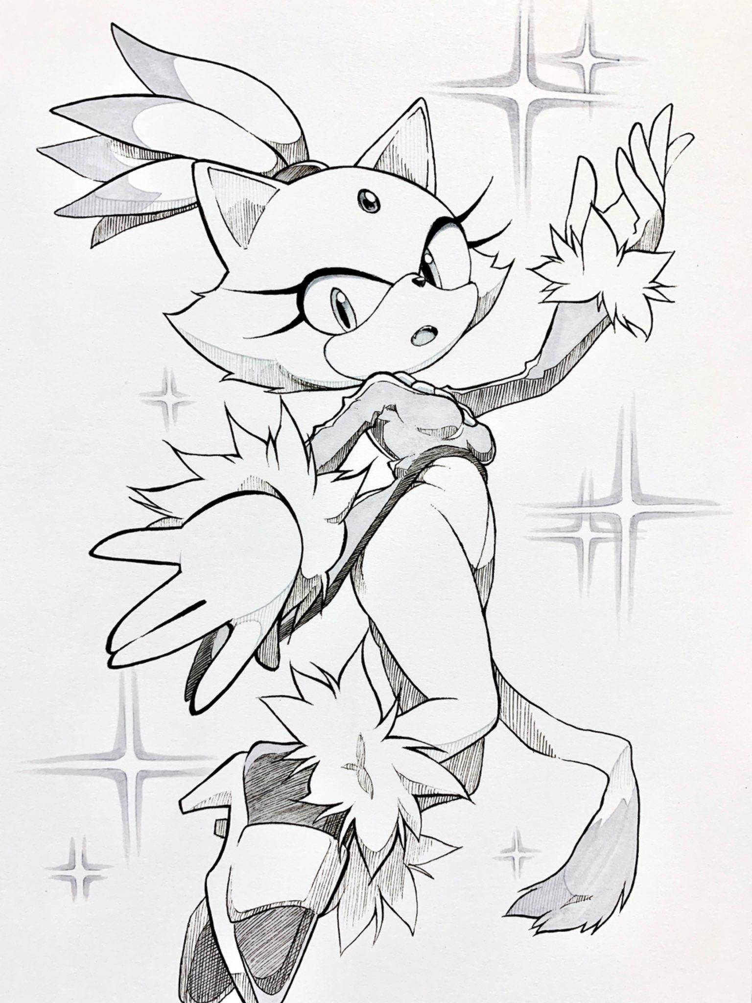 Sonic The Hedgehog Coloring Pages Blaze - Valentine Wallpaper