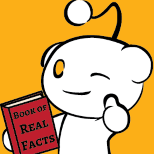 GuyWithRealFacts Icon image Novelty Reddit Accounts Know Your Meme