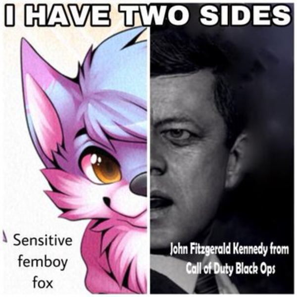 Femboy fox I Have Two Sides Know Your Meme