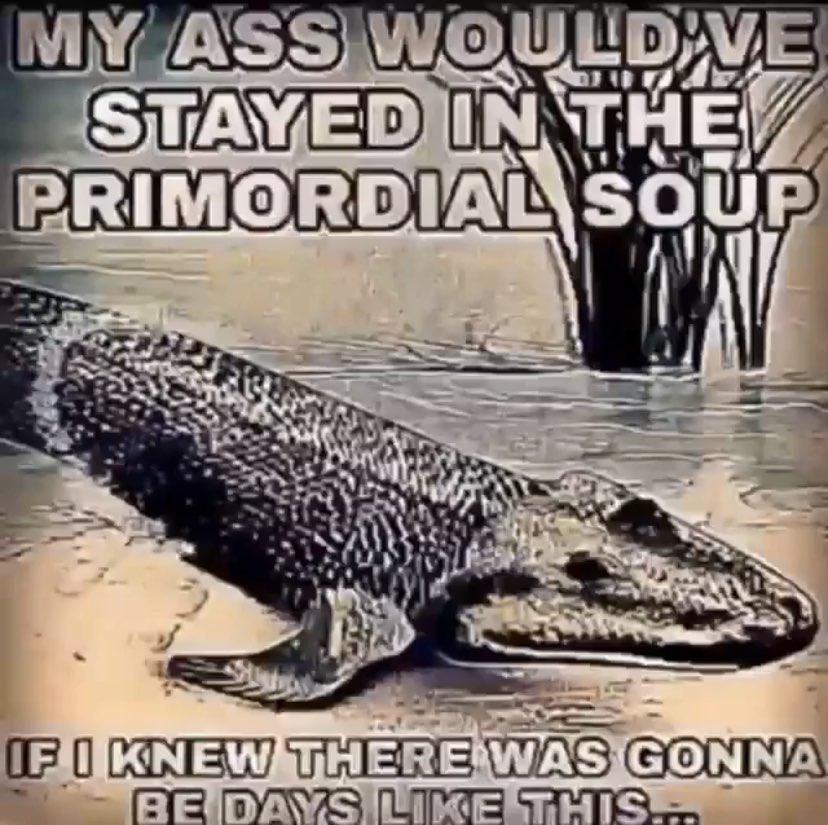 I Would've Stayed In The Primordial Soup My ass woulda stayed in the primordial soup if I knew there was gonna