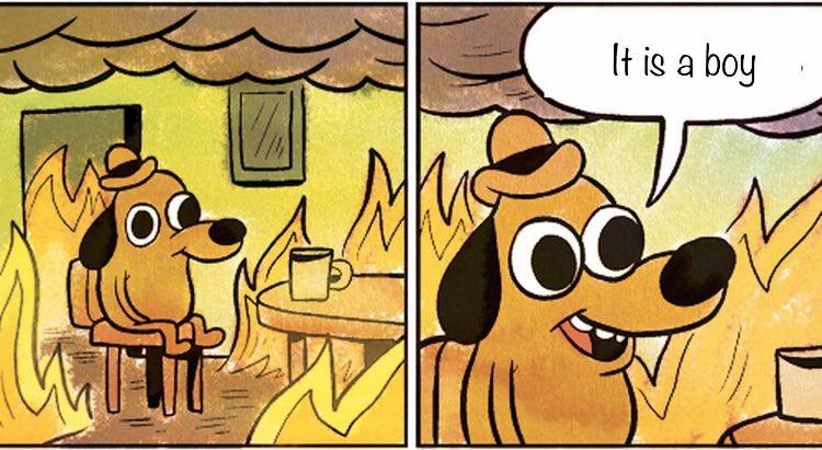 This Is A Boy Gender Reveal Wildfire It S A Boy Know Your Meme