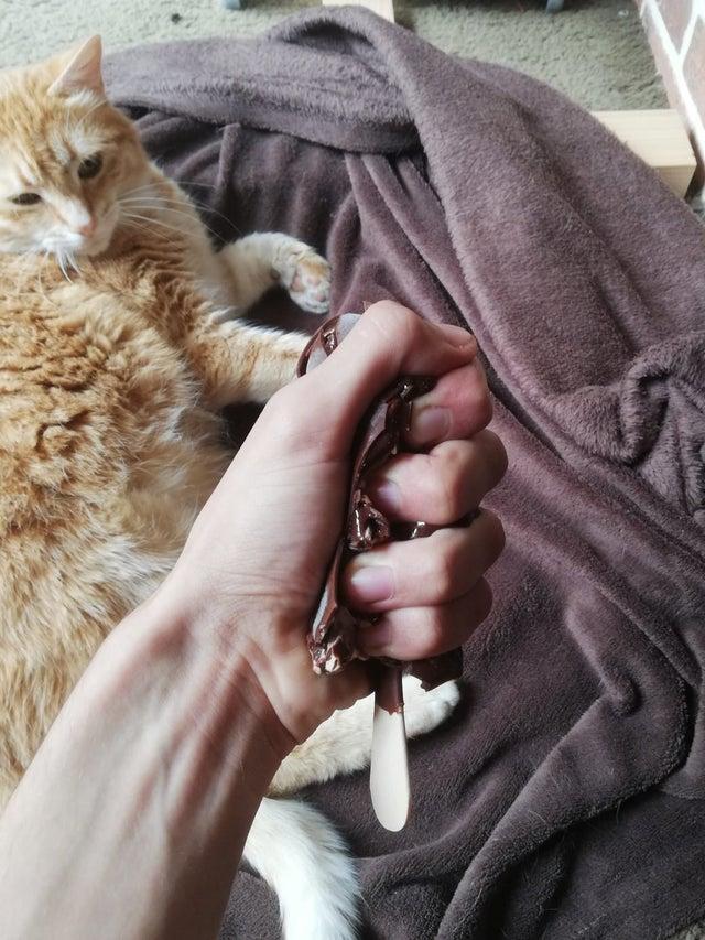 Ice cream bar Gripping Food With Force Know Your Meme