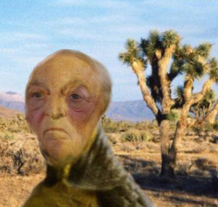 4chan alien photo mixed with human face 4chan Alien Sighting