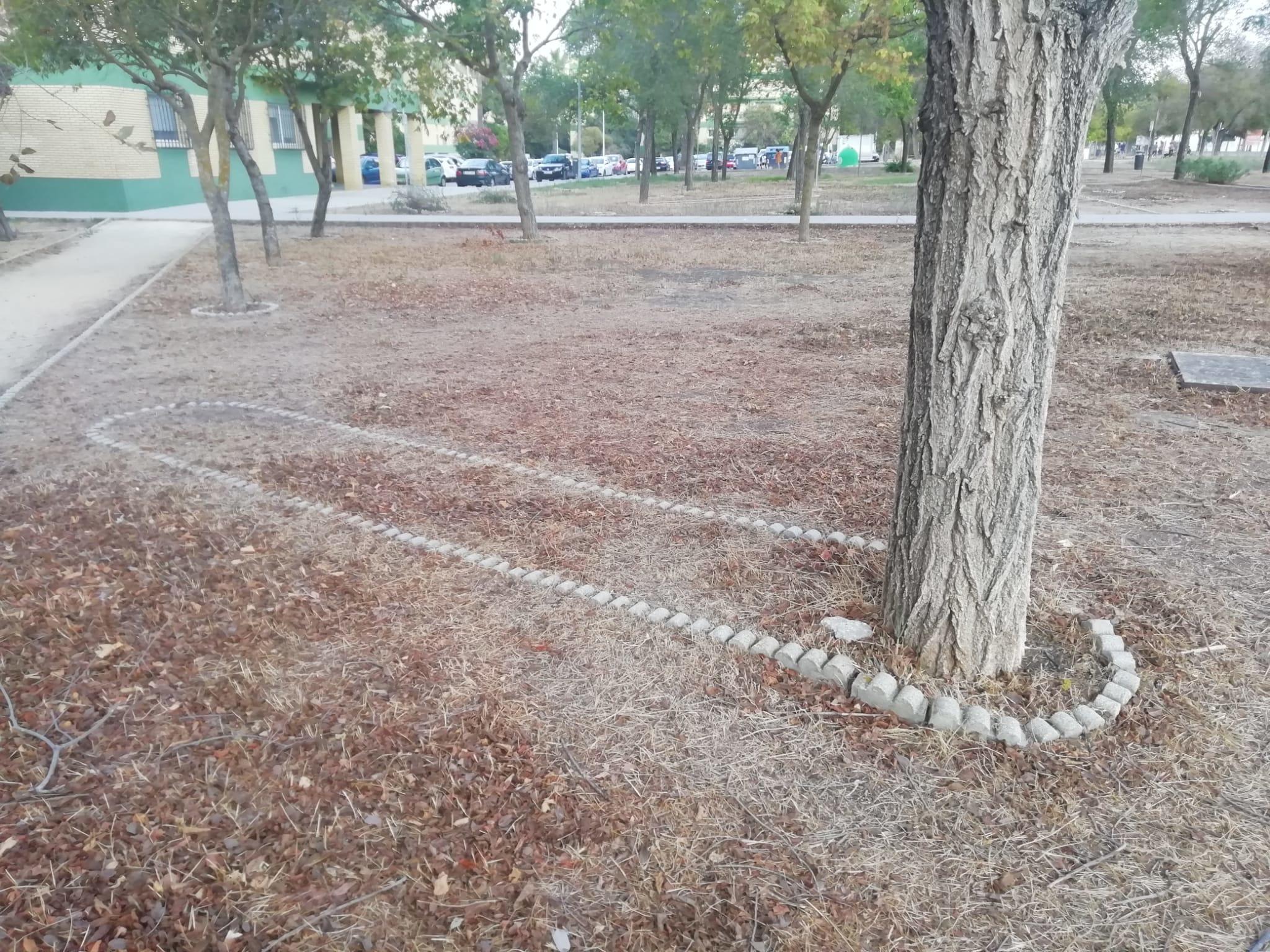 This tree looks like it could be pushed | /r/mildlyinteresting | Mildly ...