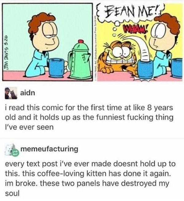 BEAN ME Garfield Know Your Meme