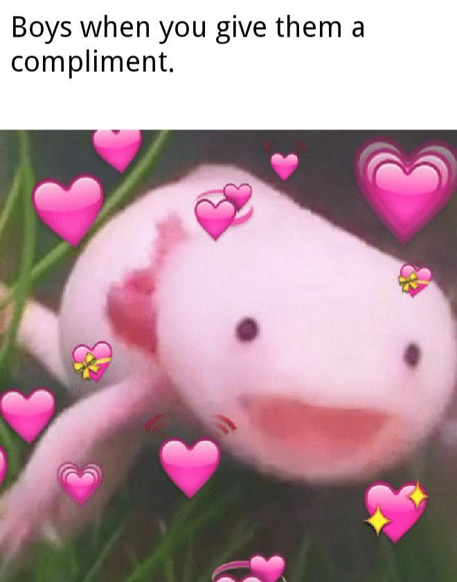 Give Your Man Some Love As Well R Wholesomememes Wholesome Memes Know Your Meme