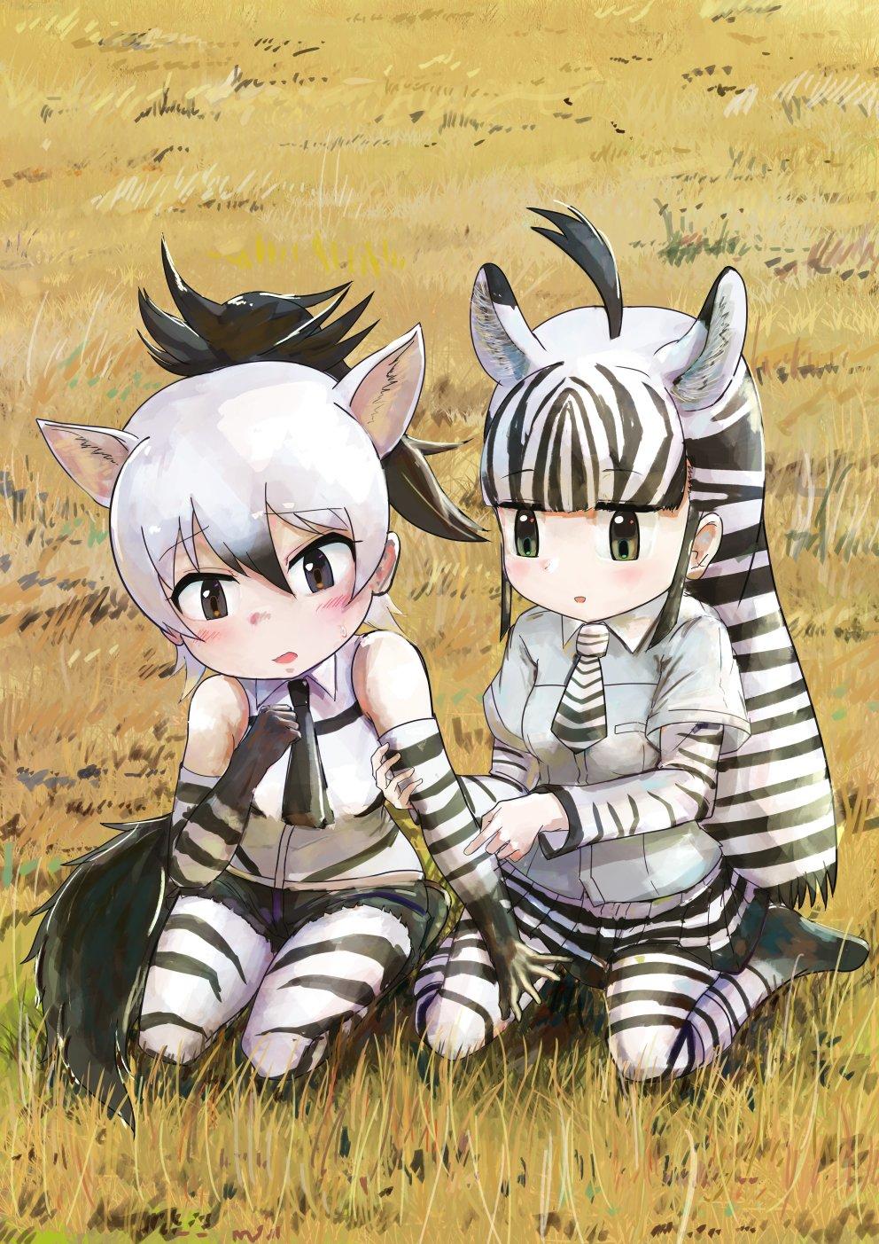 Striped friends | Kemono Friends | Know Your Meme