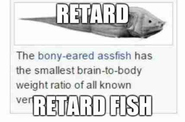 retrad fish | /r/okbuddyretard | OkBuddyRetard | Know Your Meme