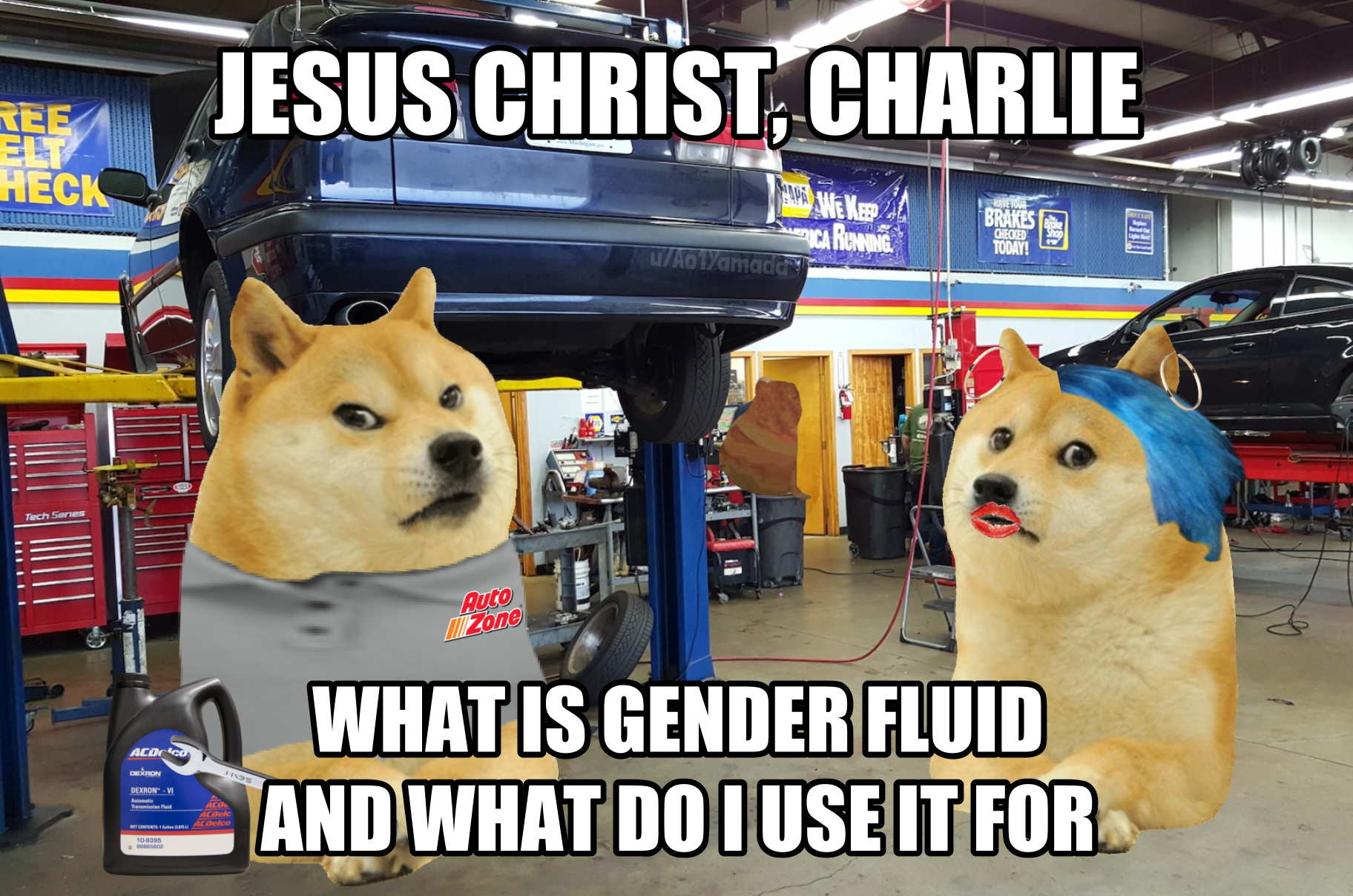 doge shop